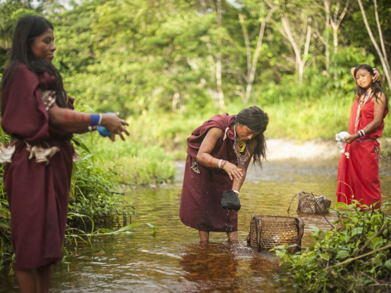Vulnerabilidad y prevención indígena en la Amazonía en tiempos de COVID-19