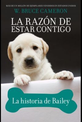RAZÓN DE ESTAR CONTIGO. HISTORIA BAILEY